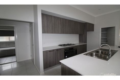 Property photo of 20 Wainwright Drive Cobbitty NSW 2570