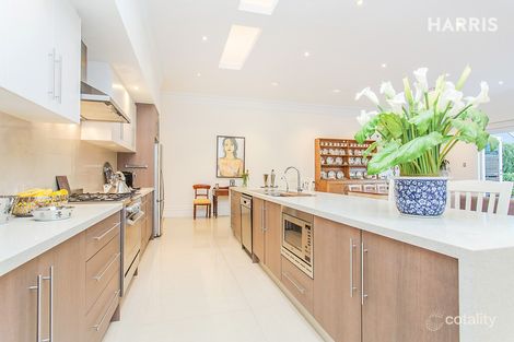 Property photo of 19 Lanor Avenue Millswood SA 5034