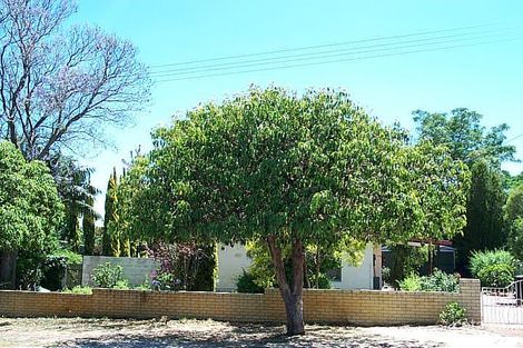 14 Hamilton Rd, High Wycombe, WA 6057