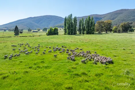 60 Darmodys Rd, Leneva, VIC 3691