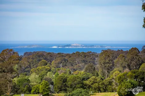 Property photo of 54 Tebbs Road Narooma NSW 2546