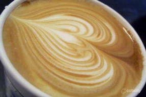 688 Mt Alexander Rd, Moonee Ponds, VIC 3039