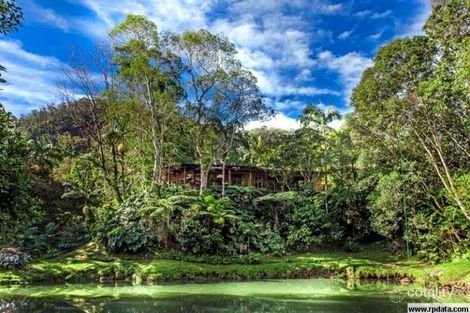 859 Wilsons Creek Rd, Wilsons Creek, NSW 2482