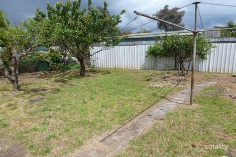 Property photo of 6 Hedley Street Scottsdale TAS 7260