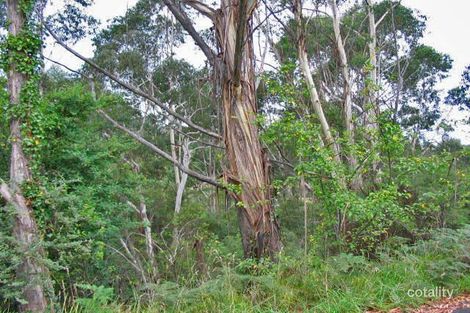 12-22 Victoria St, Katoomba, NSW 2780