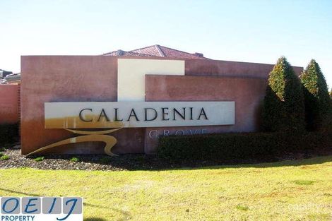 Property photo of 14 Nuytsia Crescent Canning Vale WA 6155