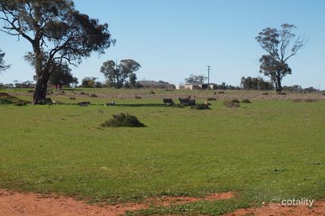 Property photo of 9 Evatt Street Temora NSW 2666