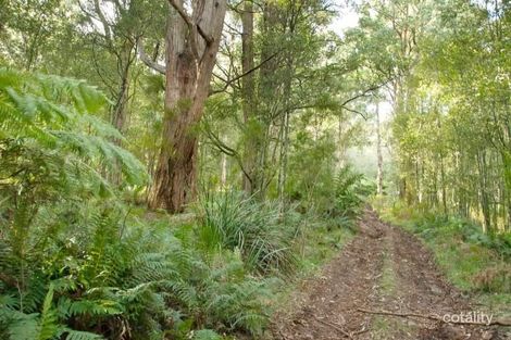 1095 Don Rd, Healesville, VIC 3777