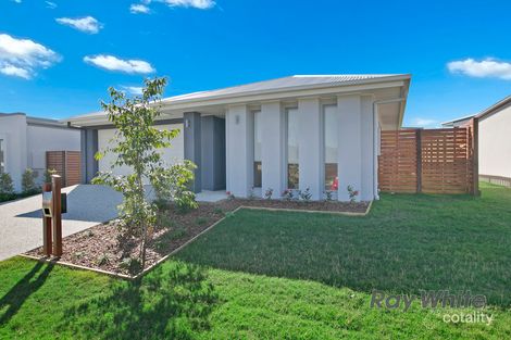 Property photo of 36 Mapleton Crescent Capalaba QLD 4157