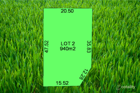 Property photo of 7 Catt Court Meadows SA 5201