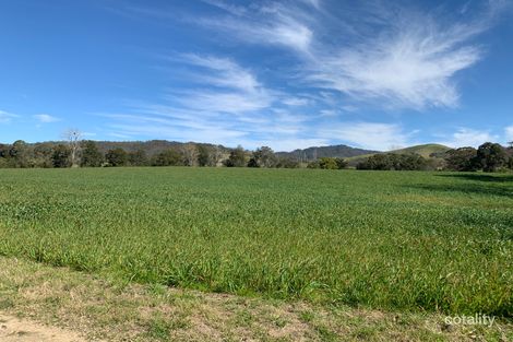 Property photo of 2655 Glendonbrook Road Gresford NSW 2311