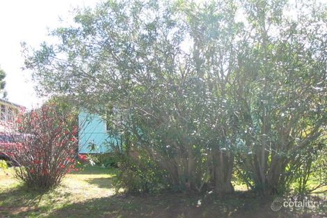 41 Newcastle St, Springfield, NSW 2250