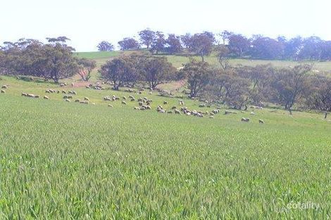 718 Katrine Rd, Katrine, WA 6401