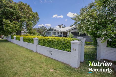 Property photo of 45 Hypatia Street Chinchilla QLD 4413