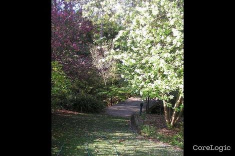 Property photo of 91 Tuckwell Road Castle Hill NSW 2154