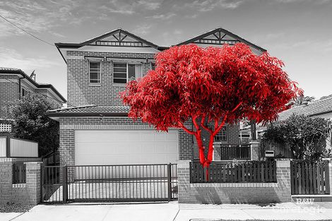Property photo of 2A Lorking Street Canterbury NSW 2193
