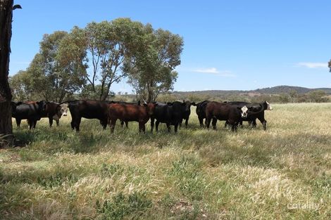 949 Curra Creek Rd, Curra Creek, NSW 2820