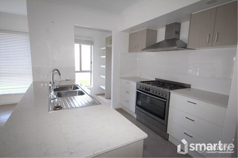 32 Tuckeroo St, Ripley, QLD 4306