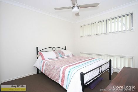 Property photo of 19 Sage Parade Griffin QLD 4503