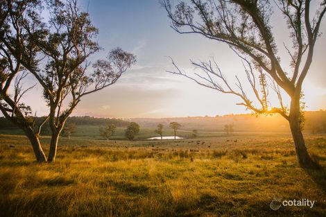 165 Jeffrey Lane, Wingello, NSW 2579