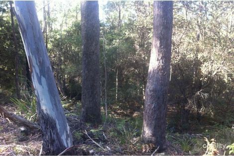 Property photo of 520 River Road Reedy Marsh TAS 7304