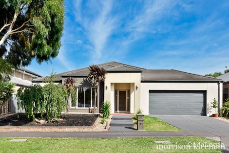 Property photo of 25 Beale Street Mernda VIC 3754