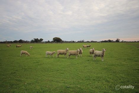 1860 Echuca-Mitiamo Rd, Kotta, VIC 3565