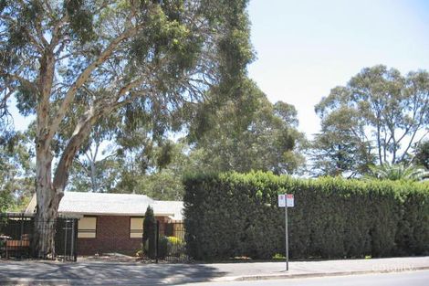 41 Elizabeth St, Banksia Park, SA 5091