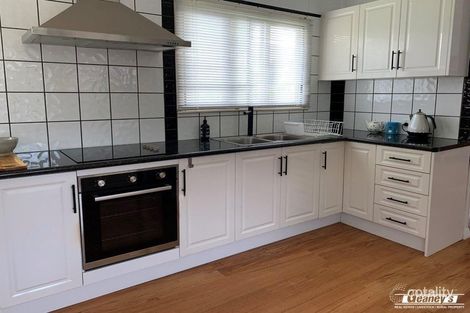 Property photo of 68 Baker Street Richmond Hill QLD 4820