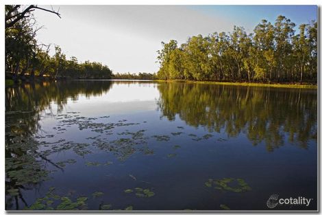 292 Calimo Rd, Deniliquin, NSW 2710