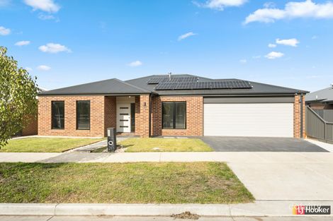 31 Northwattle Cres, Corio, VIC 3214