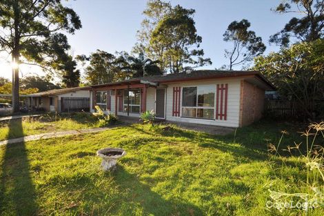 Property photo of 23 Gazania Street Kingston QLD 4114