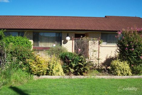 Property photo of 37 O'Donnell Street Emmaville NSW 2371