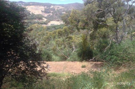 Property photo of 8 Whitbread Grove Skye SA 5072