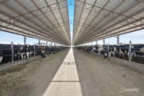 315 Fidge Rd, Undera, VIC 3629