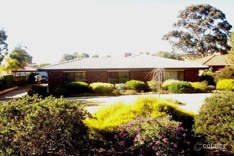 14 Morrow Ave, Evanston Park, SA 5116