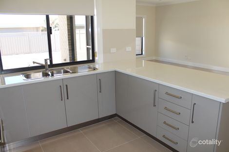 Property photo of 244 Senate Road Risdon Park SA 5540