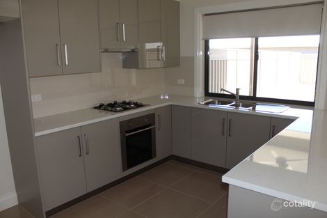 Property photo of 244 Senate Road Risdon Park SA 5540