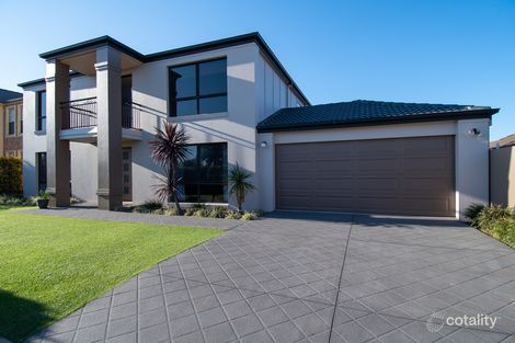 41 Ingles Cct, Arundel, QLD 4214