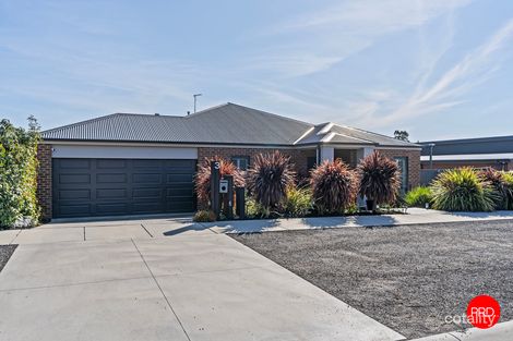 Property photo of 3 Molly Drive Harcourt VIC 3453