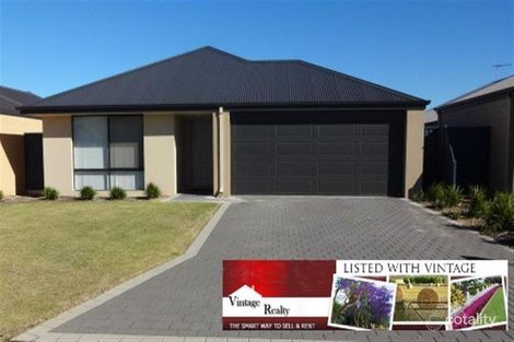 20 Tigereye Ave, Byford, WA 6122