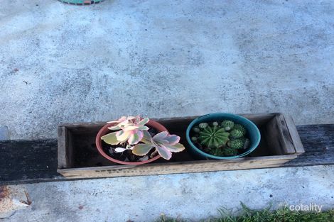 Property photo of 65 Campbell Street Hermit Park QLD 4812