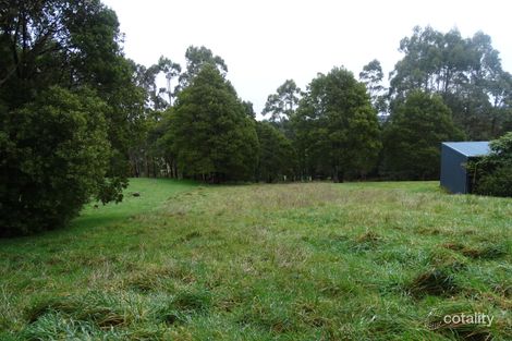 Property photo of 66 Main Road Beech Forest VIC 3237