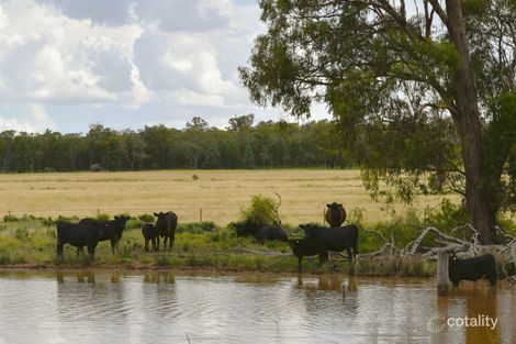 151 Numalla Rd, Trundle, NSW 2875