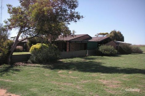 Property photo of 37-39 Murrayville Road Pinnaroo SA 5304