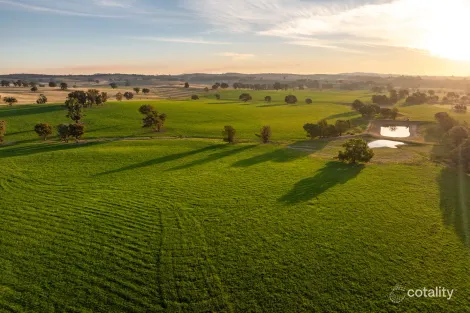 3376 Holbrook Rd, Mangoplah, NSW 2652