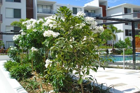 Property photo of 2222/1-7 Waterford Court Bundall QLD 4217