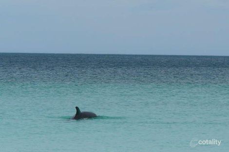 Property photo of 8 Halfmoon Way Jurien Bay WA 6516
