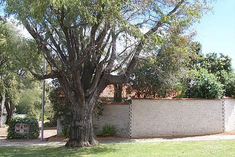 4 Brittain St, Como, WA 6152