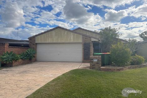 Property photo of 11 Numbat Court Coombabah QLD 4216